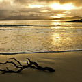 Winter Sunset - Downings, Donegal